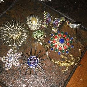Brooches Bundle